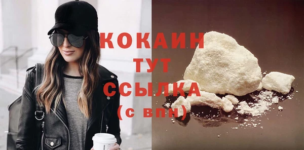 шишки Володарск