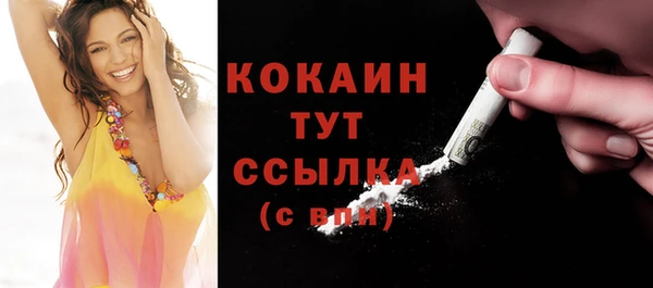 шишки Володарск