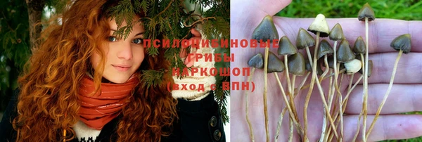 стафф Волосово